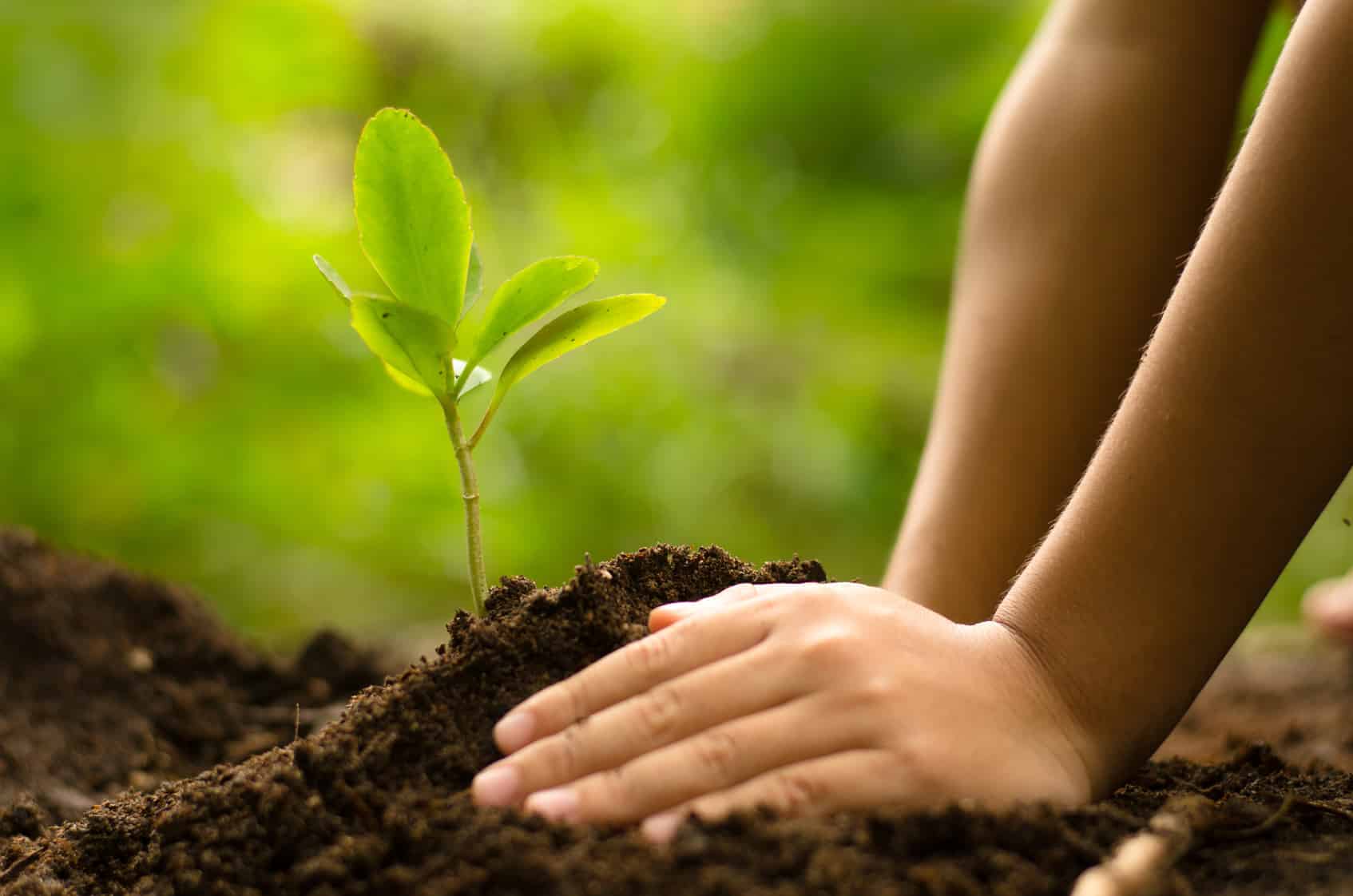 conserve the environmentçåçæå°çµæ