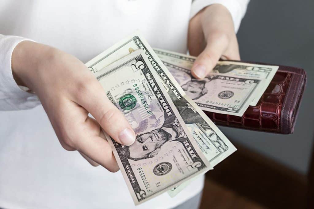 Wallet and Money purse