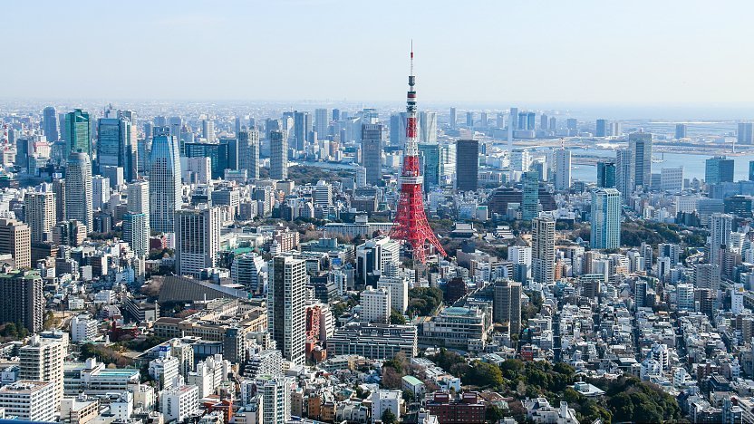 日本職業僱主組織和名義僱主服務