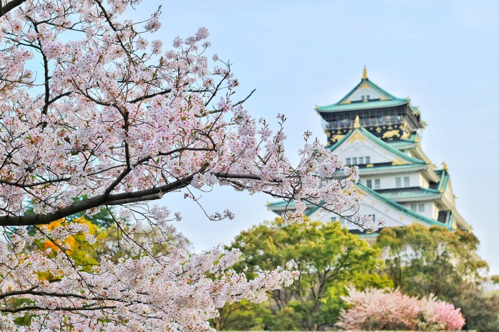 Japan Certificate of Eligibility