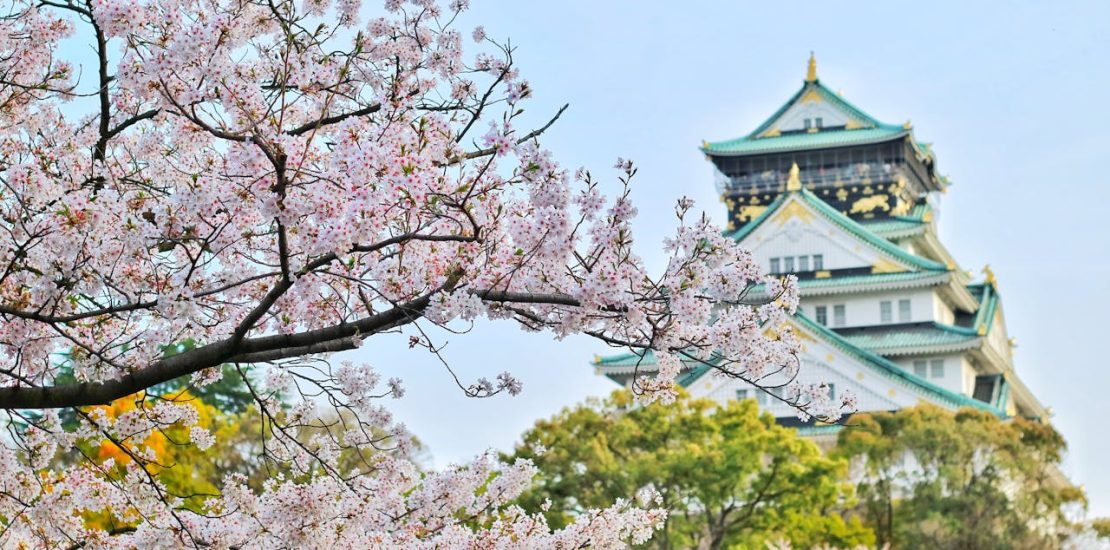 Japan Certificate of Eligibility